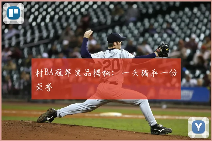 村BA冠军奖品揭秘:一头猪和一份荣誉