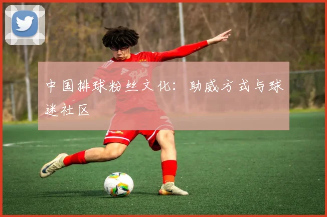 中国排球粉丝文化：助威方式与球迷社区